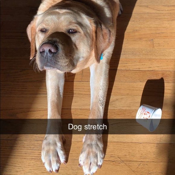 Meet your Posher, Ruby lab resale - Picture 2 of 10